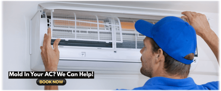 HVAC Mold Removal Weymouth MA